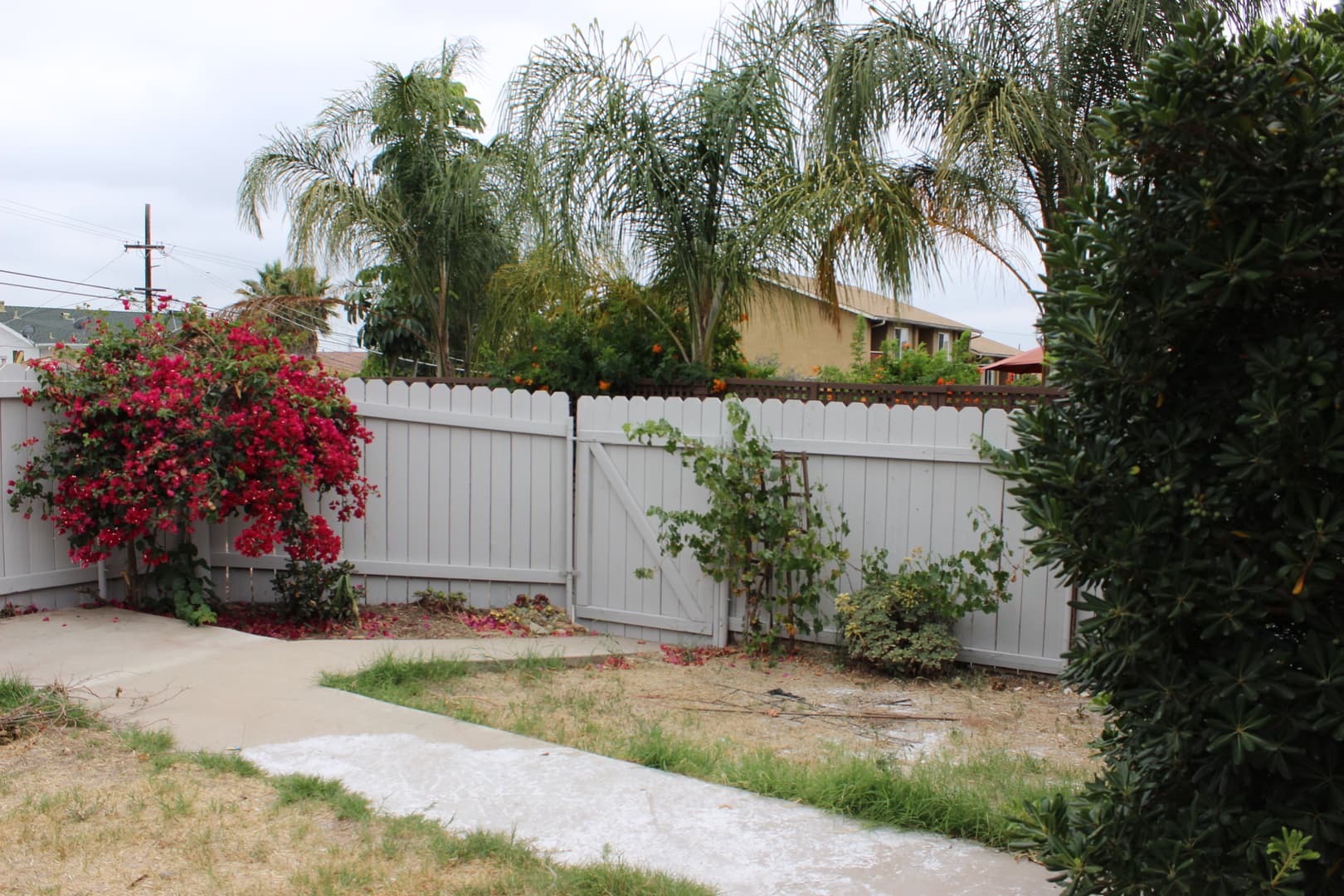 San Diego Apartment: 7043 Saranac Street