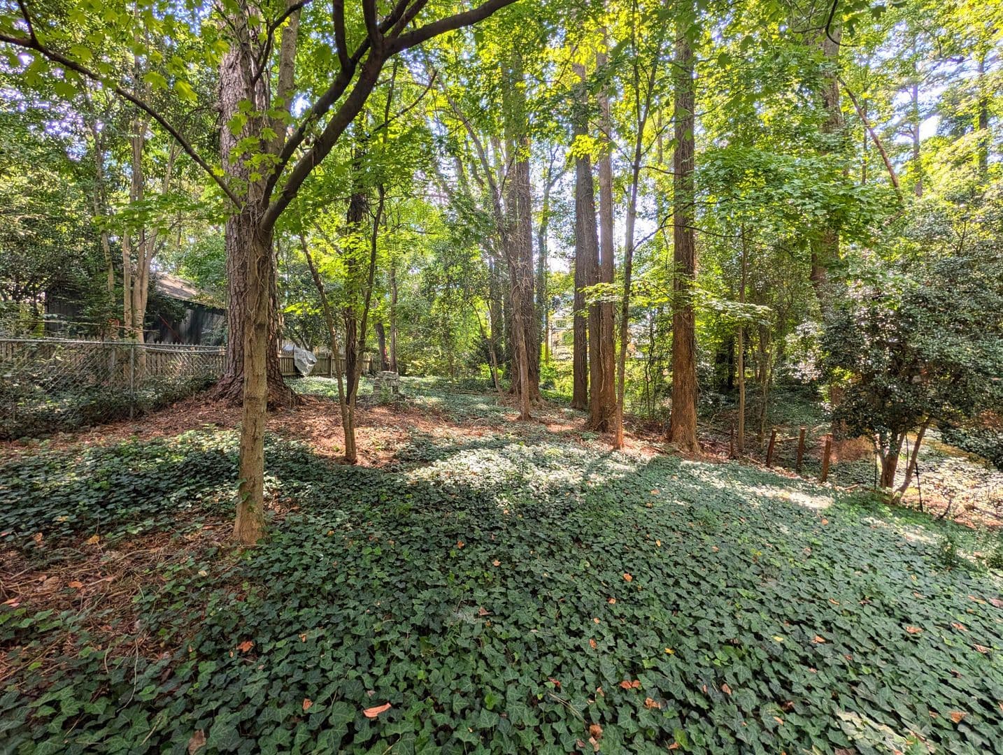 Raleigh House: 401 Furches Street