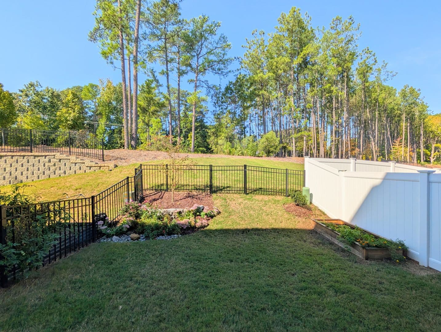 Raleigh Townhome: 10519 Pleasant Branch Drive