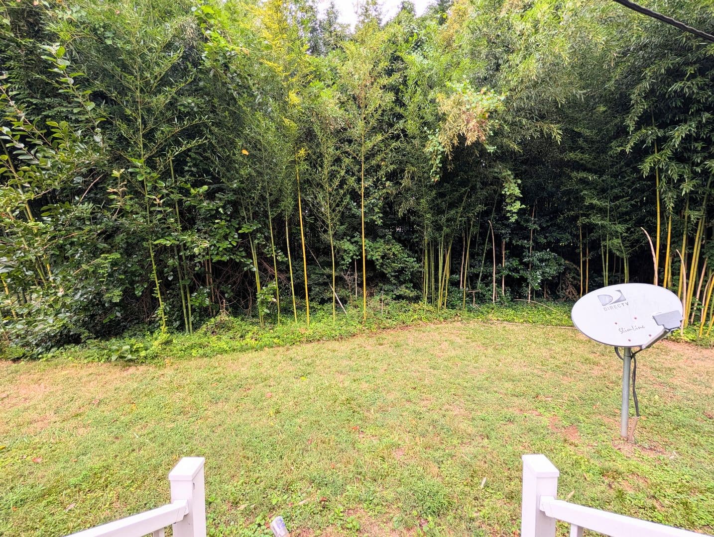 Raleigh Apartment: 3906 Lexington Drive