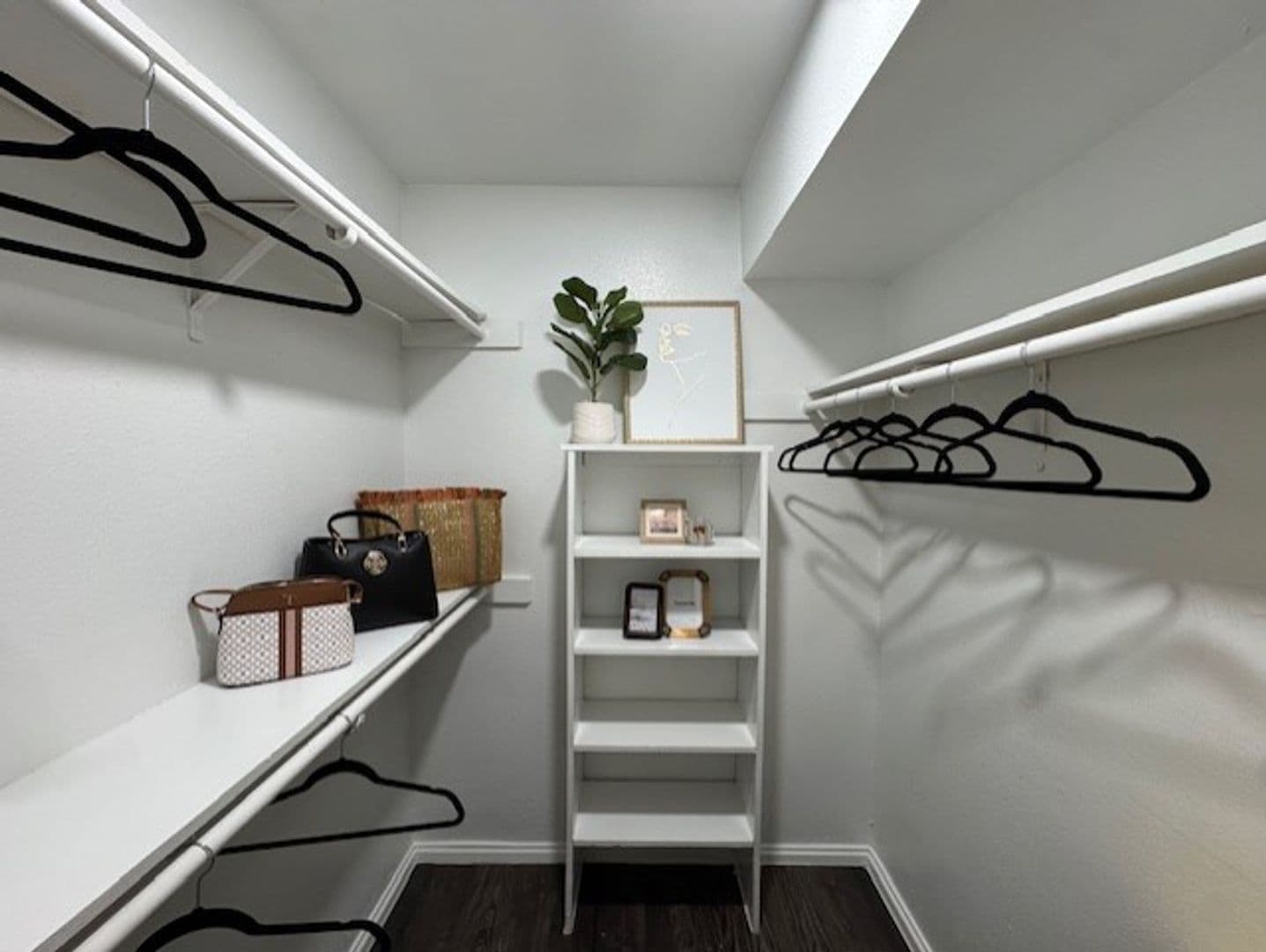 Austin Apartment: 1124 Rutland Dr