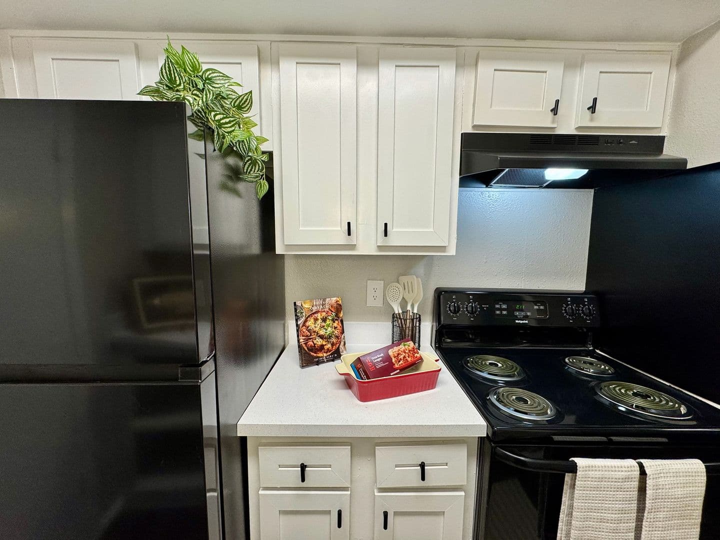 Austin Apartment: 1124 Rutland Dr