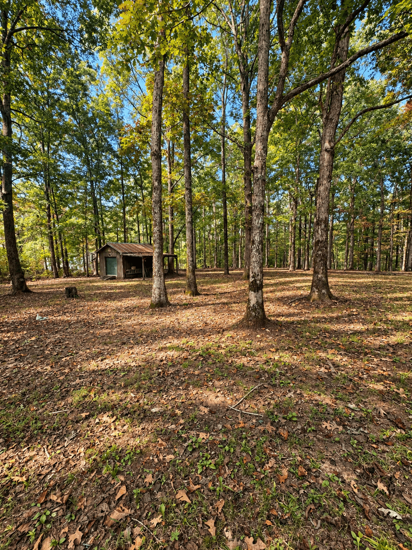 Franklin House: 5668 Pinewood Rd
