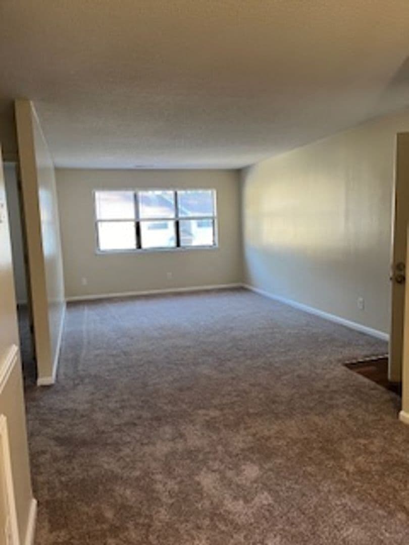 Jacksonville Apartment: 203 Valencia Drive