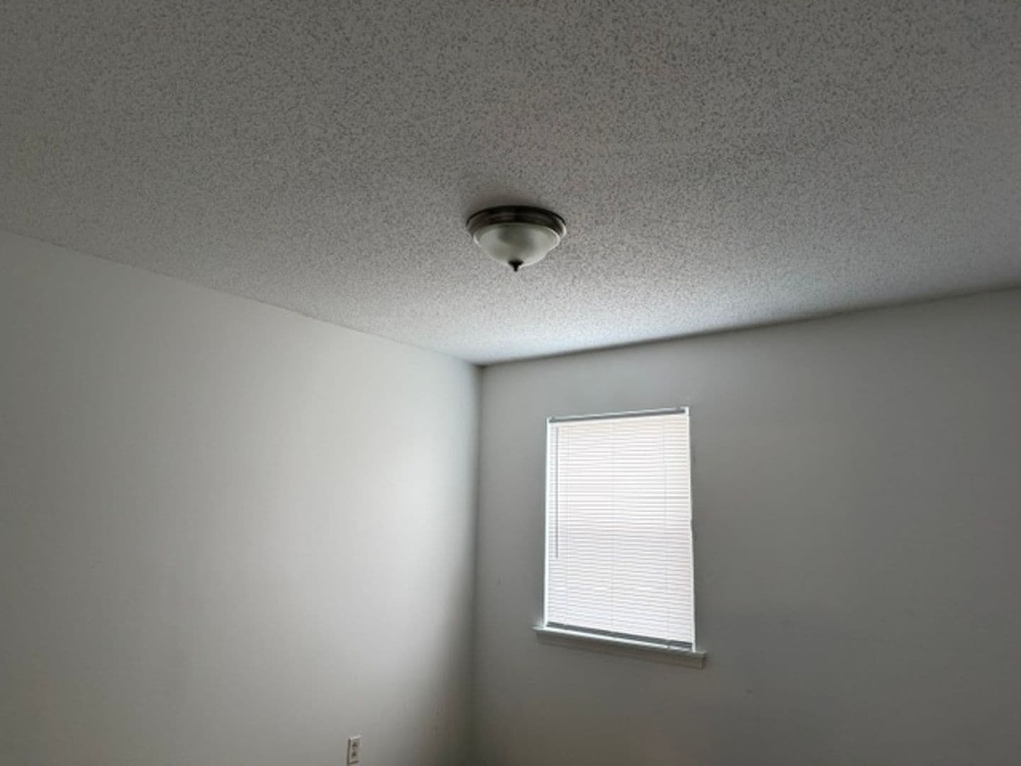 Jacksonville Apartment: 203 Valencia Drive