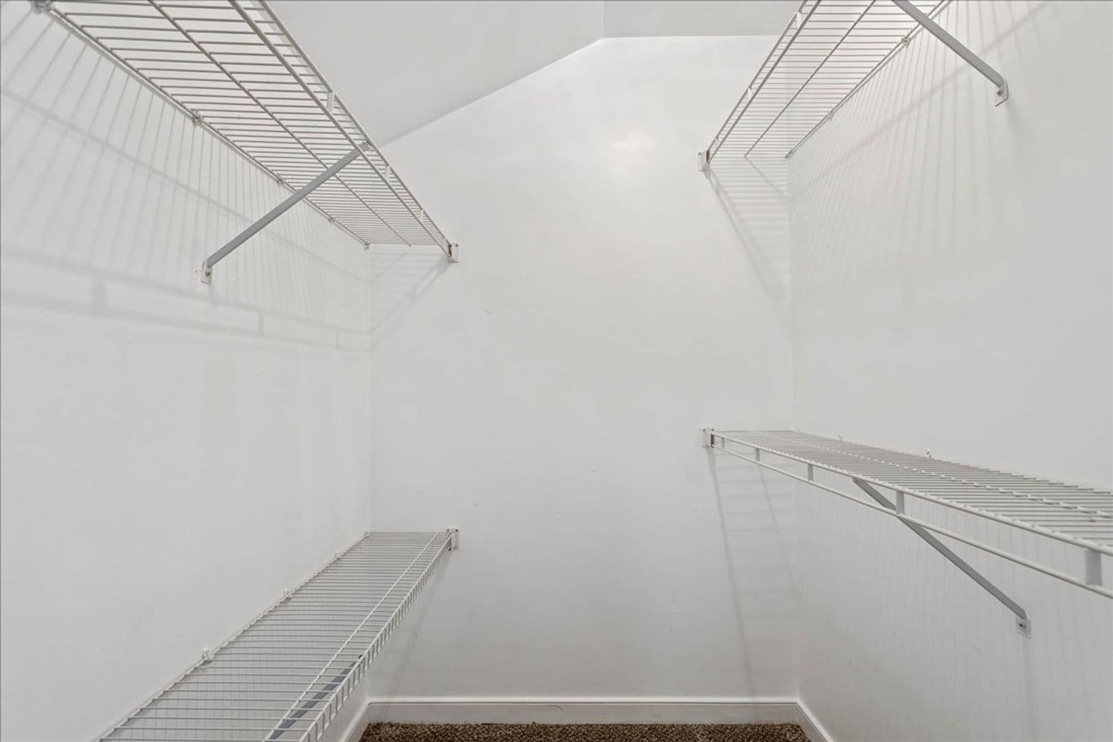 Chester House: 11206 Arbor Green Dr