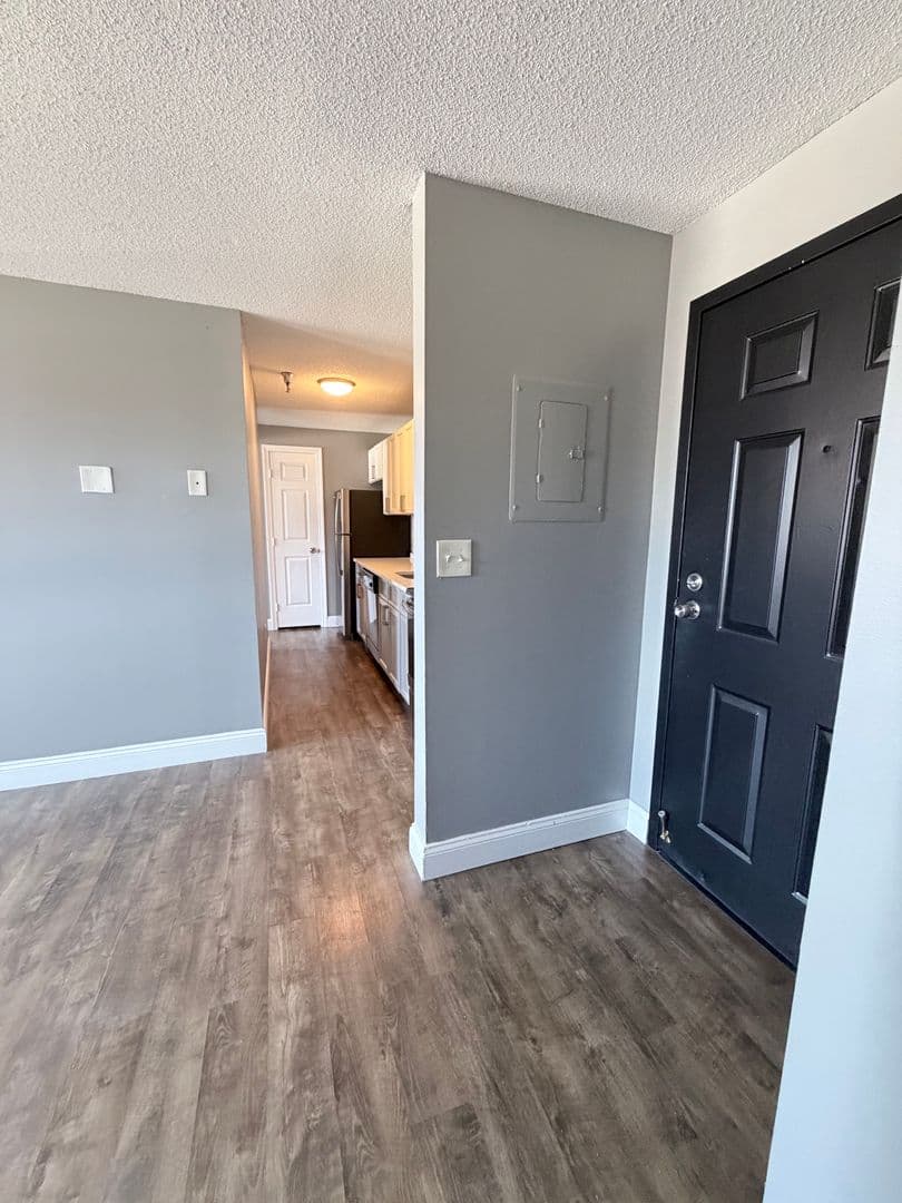 Springfield Apartment: 122 Chestnut Street