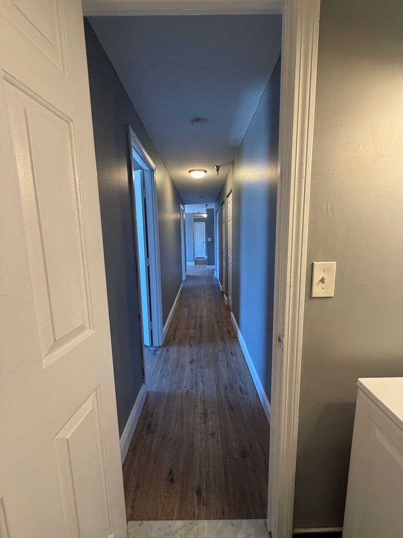 Springfield Apartment: 122 Chestnut Street