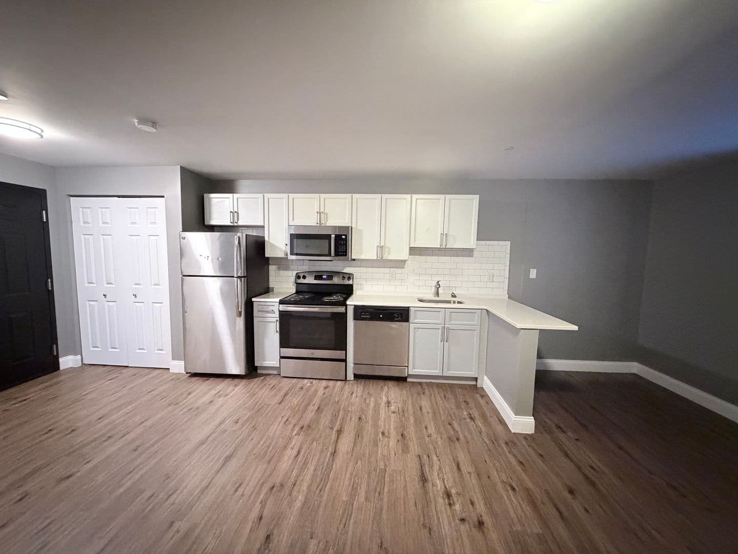 Springfield Apartment: 122 Chestnut Street
