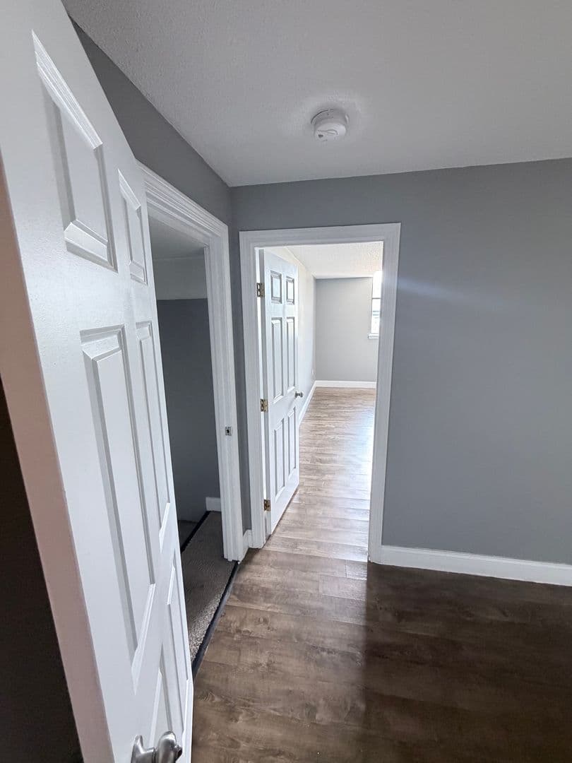 Springfield Apartment: 122 Chestnut Street