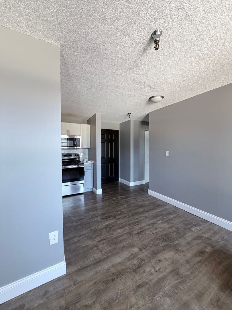 Springfield Apartment: 122 Chestnut Street