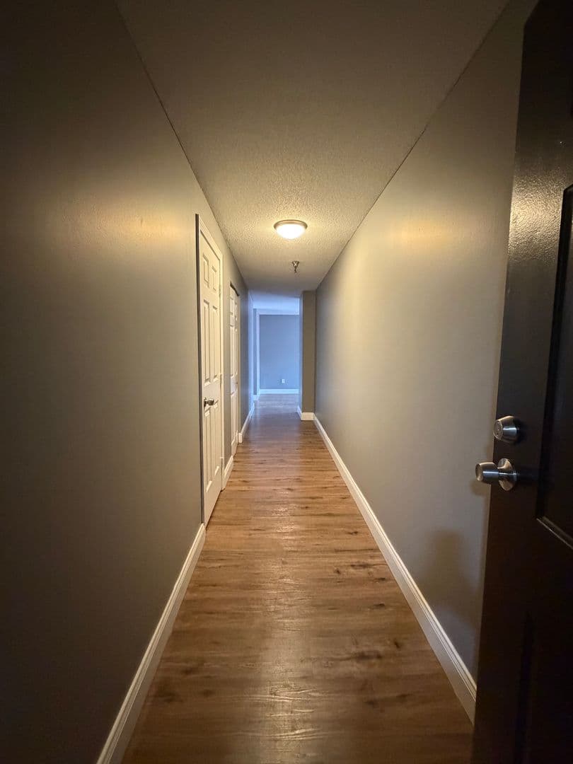 Springfield Apartment: 122 Chestnut Street