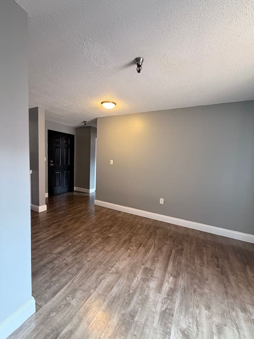 Springfield Apartment: 122 Chestnut Street