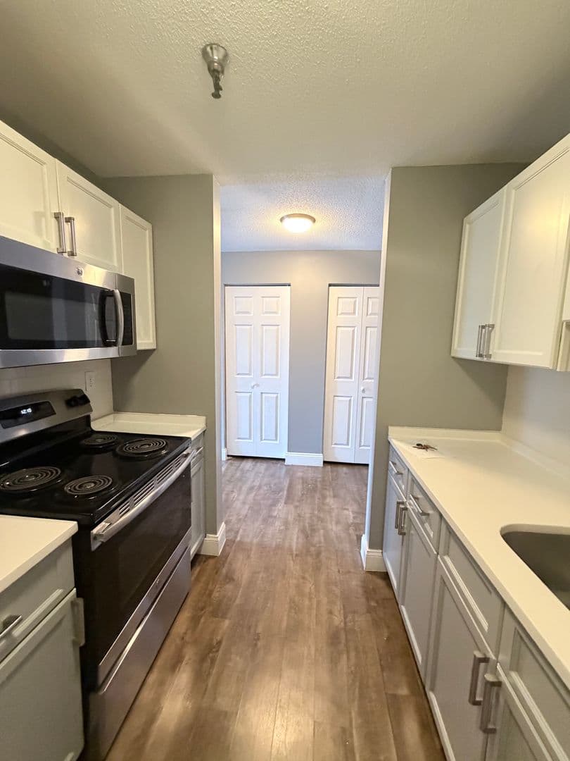 Springfield Apartment: 122 Chestnut Street