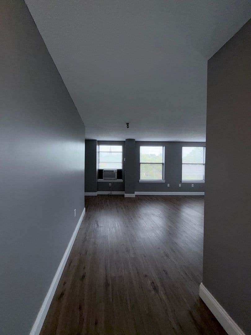 Springfield Apartment: 122 Chestnut Street