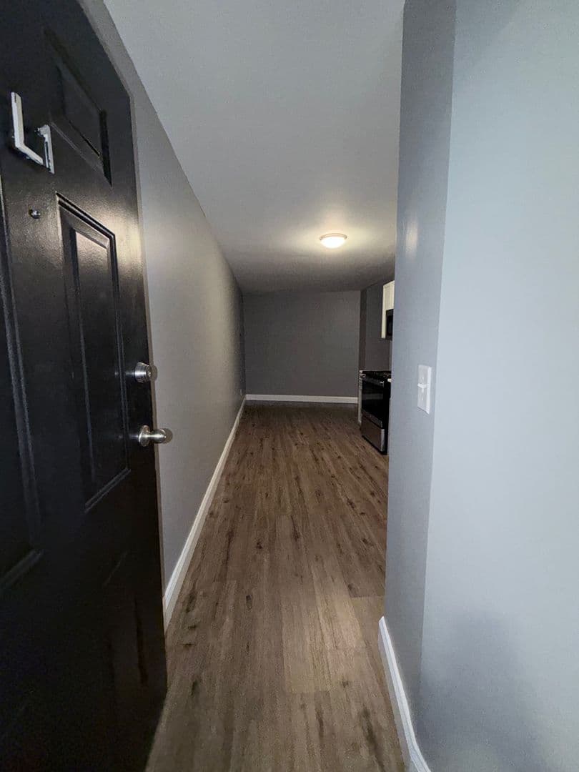 Springfield Apartment: 122 Chestnut Street
