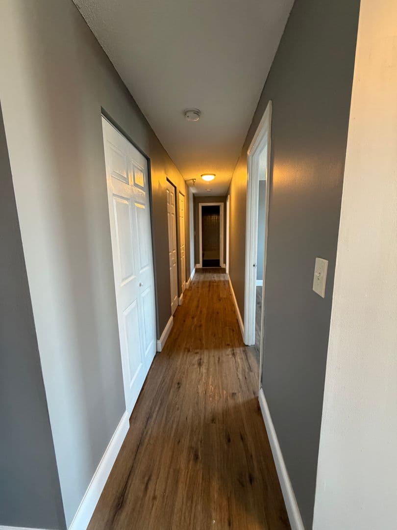 Springfield Apartment: 122 Chestnut Street