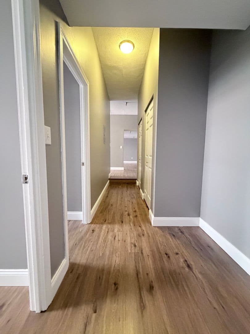 Springfield Apartment: 122 Chestnut Street