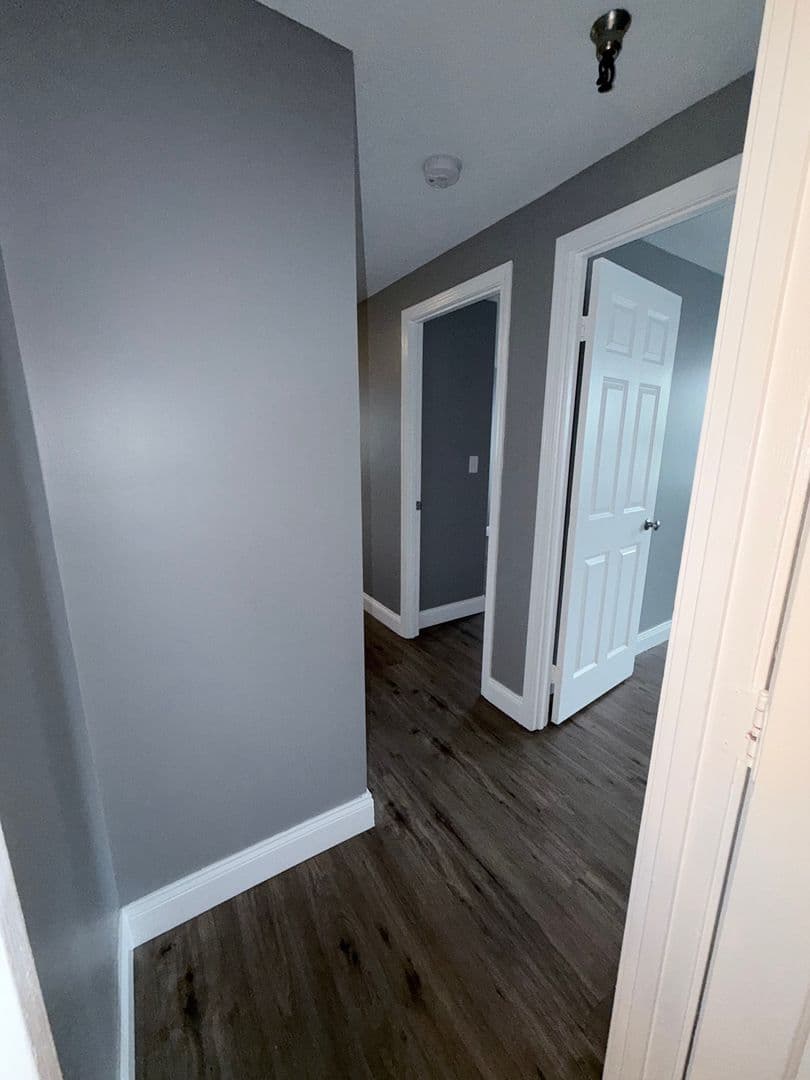 Springfield Apartment: 122 Chestnut Street