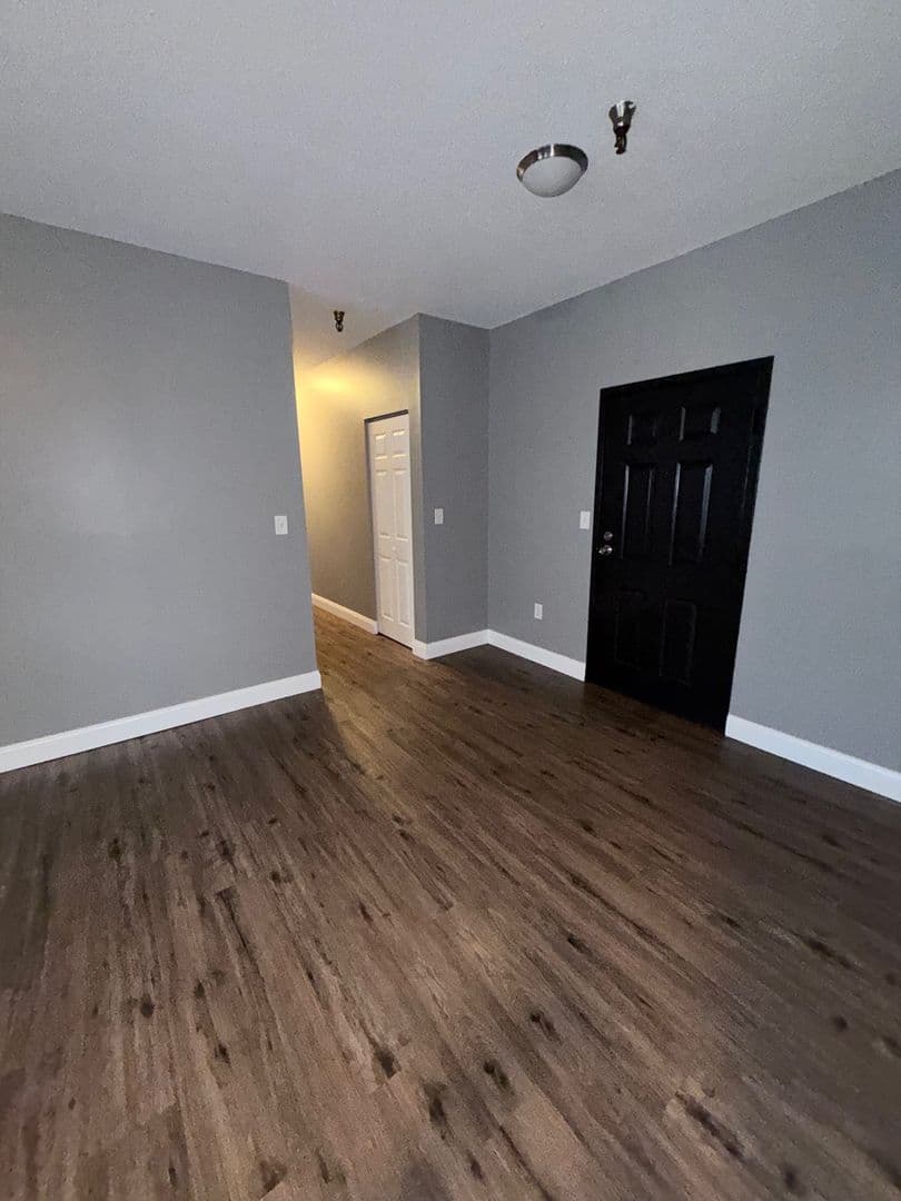 Springfield Apartment: 122 Chestnut Street
