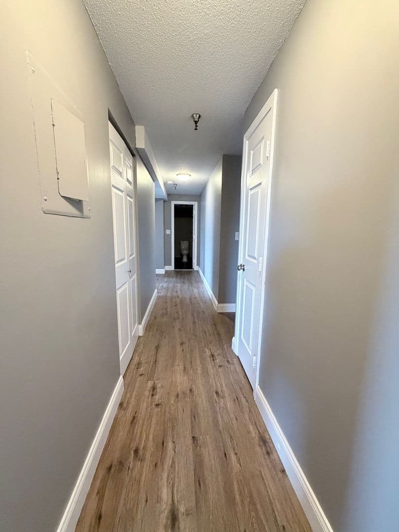 Springfield Apartment: 122 Chestnut Street