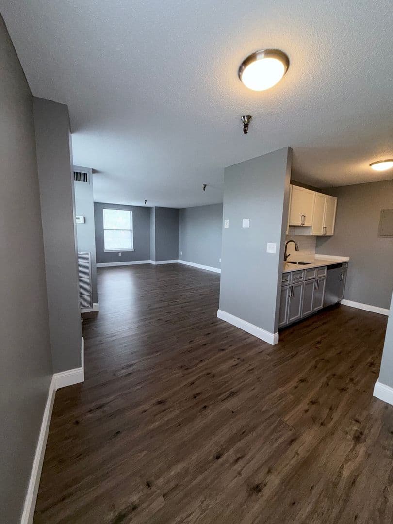 Springfield Apartment: 122 Chestnut Street