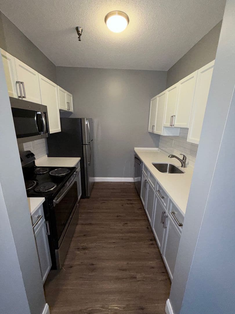 Springfield Apartment: 122 Chestnut Street