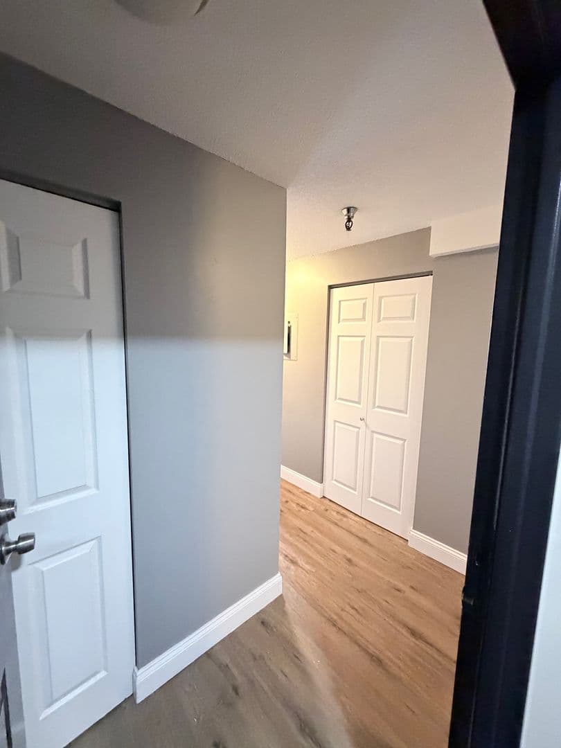 Springfield Apartment: 122 Chestnut Street