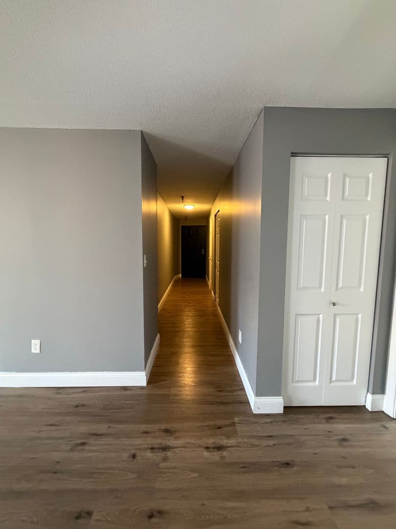 Springfield Apartment: 122 Chestnut Street