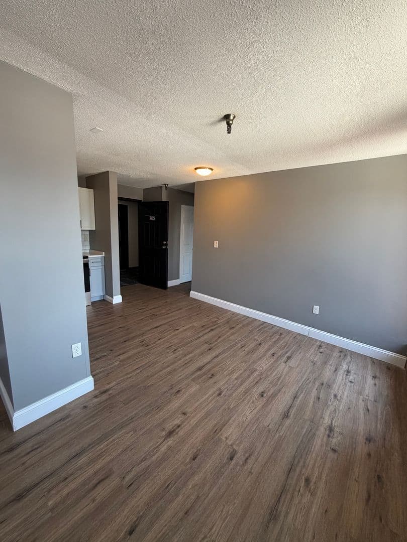 Springfield Apartment: 122 Chestnut Street
