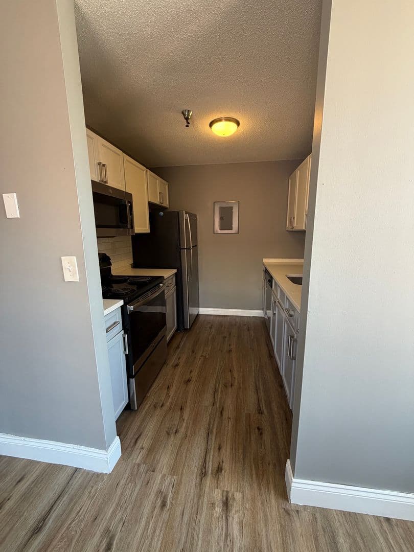 Springfield Apartment: 122 Chestnut Street