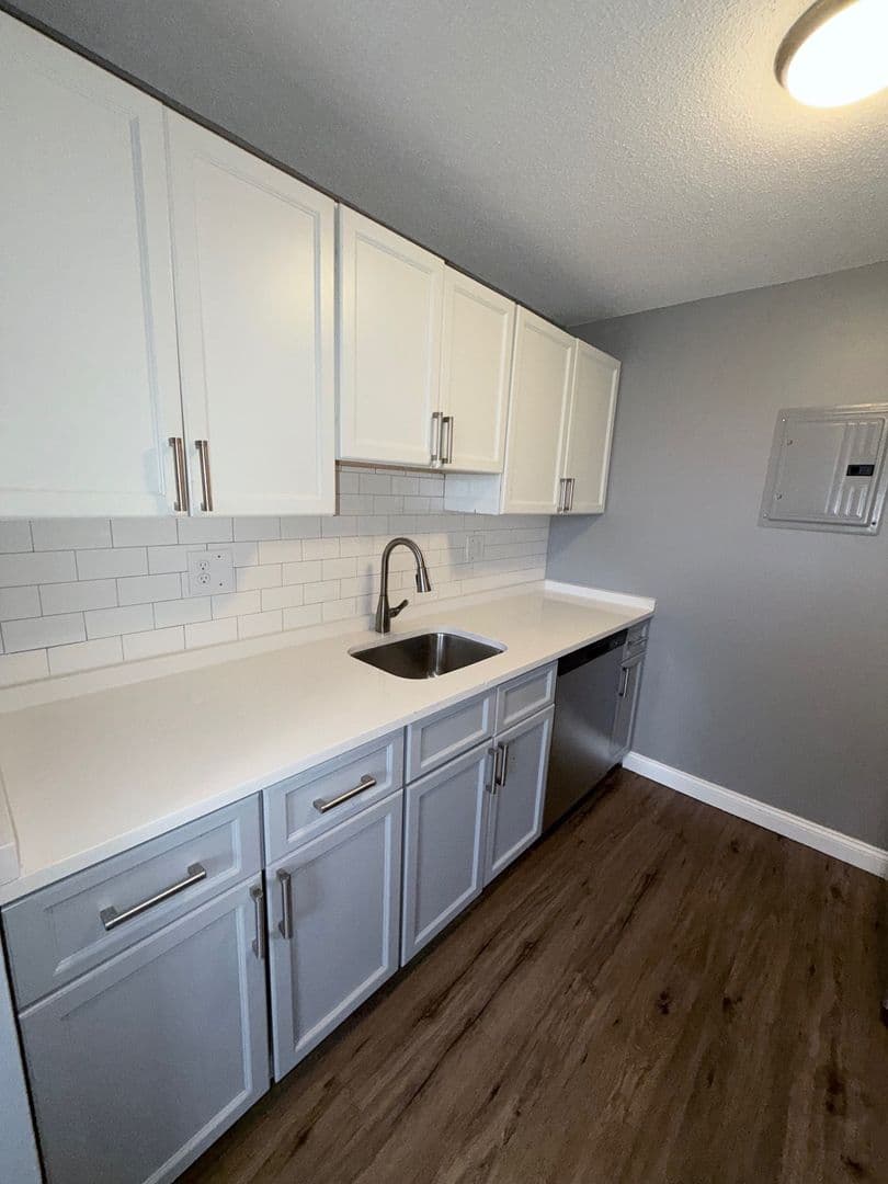Springfield Apartment: 122 Chestnut Street