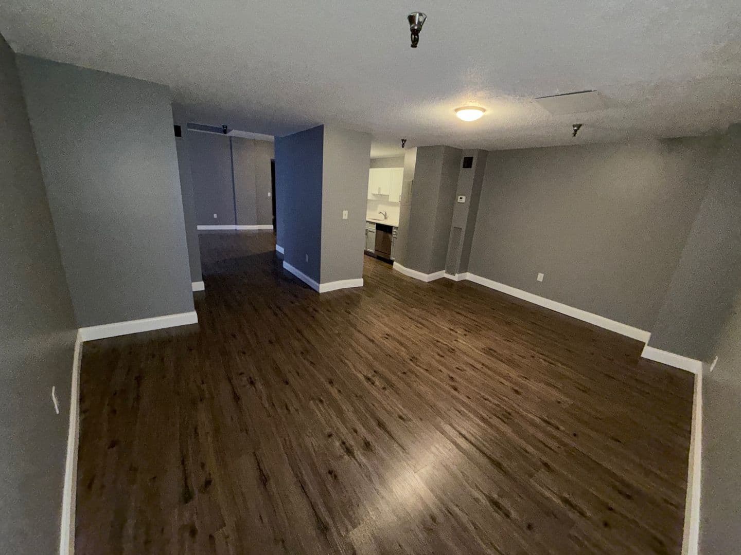 Springfield Apartment: 122 Chestnut Street