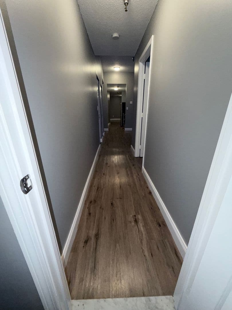 Springfield Apartment: 122 Chestnut Street