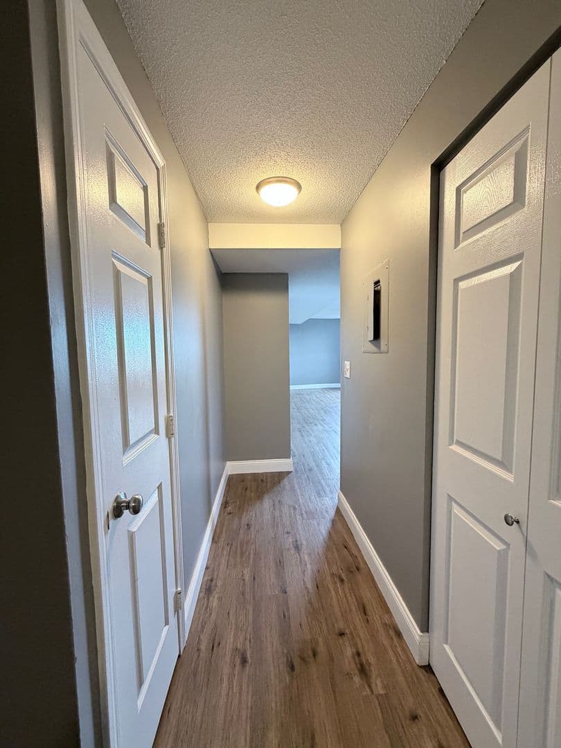 Springfield Apartment: 122 Chestnut Street