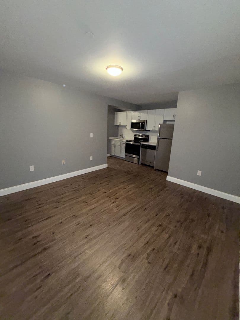 Springfield Apartment: 122 Chestnut Street