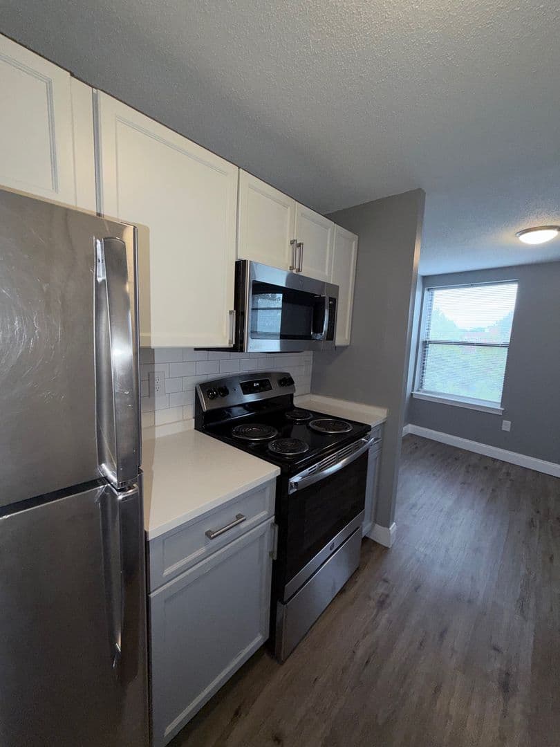 Springfield Apartment: 122 Chestnut Street