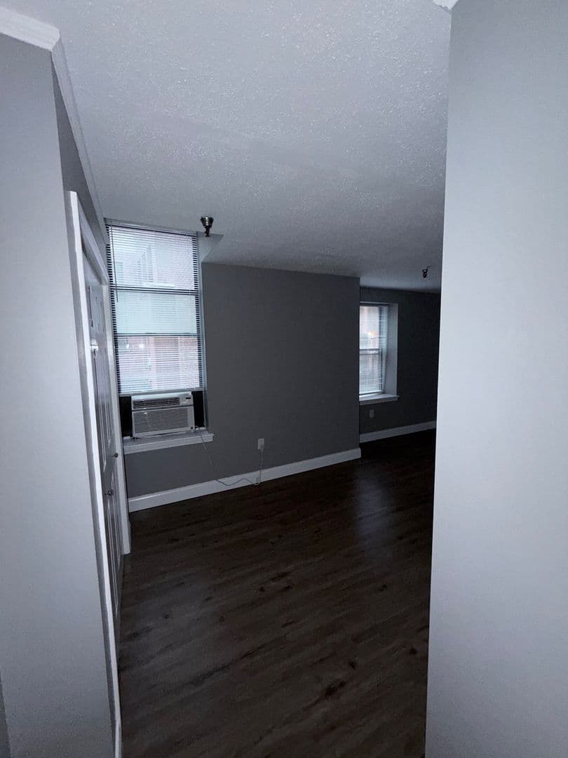 Springfield Apartment: 122 Chestnut Street