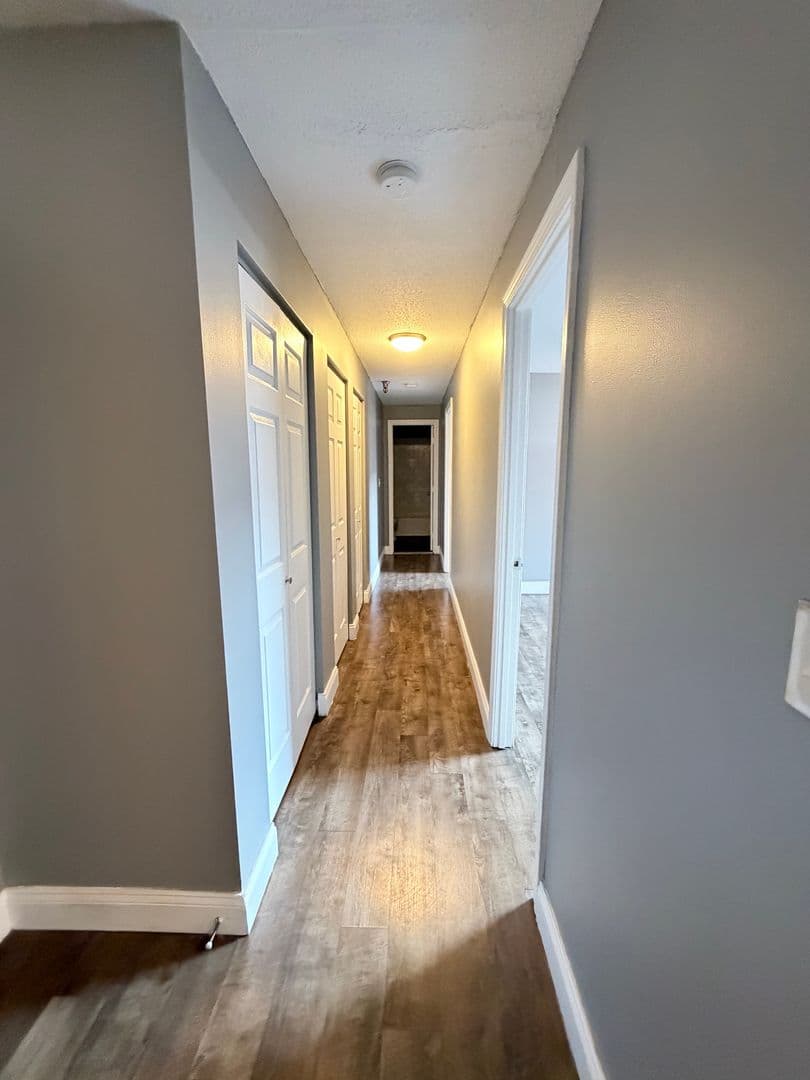 Springfield Apartment: 122 Chestnut Street