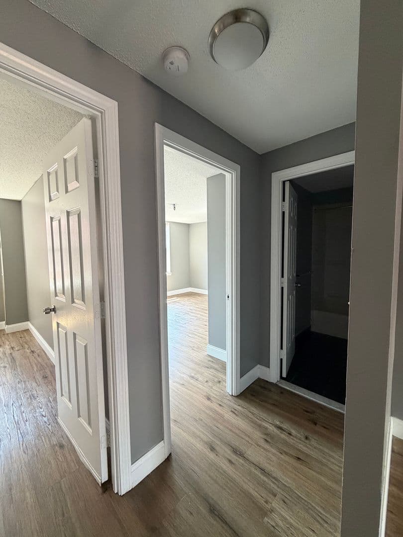 Springfield Apartment: 122 Chestnut Street