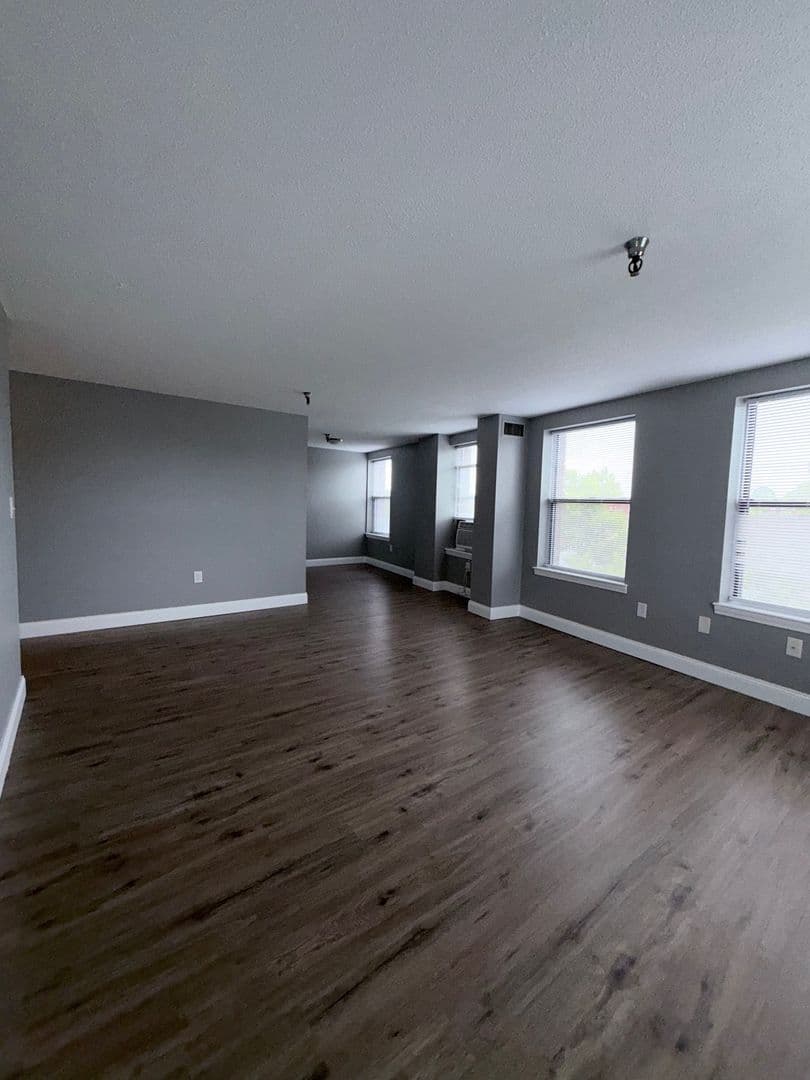 Springfield Apartment: 122 Chestnut Street