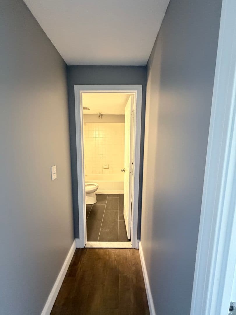 Springfield Apartment: 122 Chestnut Street