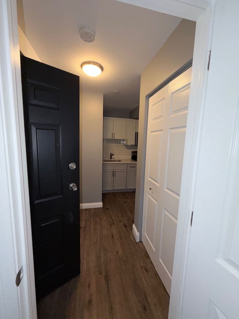 Springfield Apartment: 122 Chestnut Street