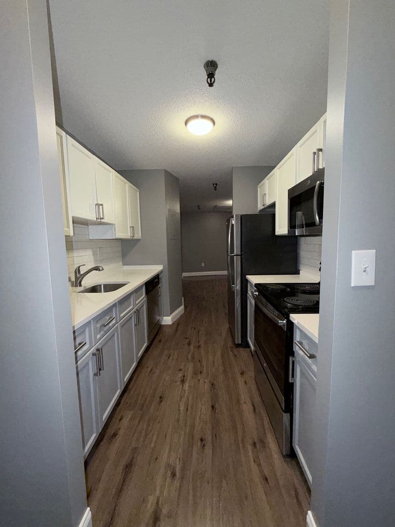 Springfield Apartment: 122 Chestnut Street