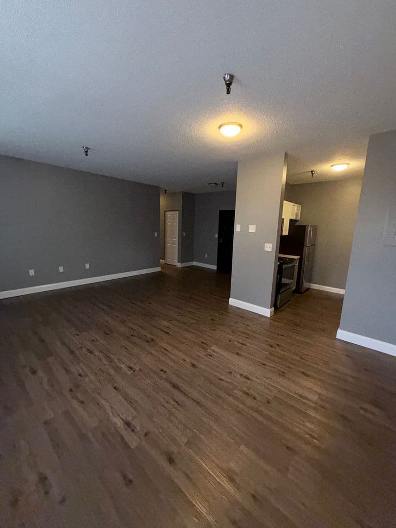 Springfield Apartment: 122 Chestnut Street