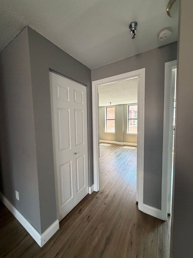Springfield Apartment: 122 Chestnut Street