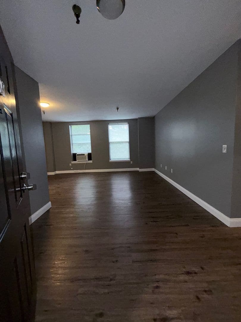 Springfield Apartment: 122 Chestnut Street