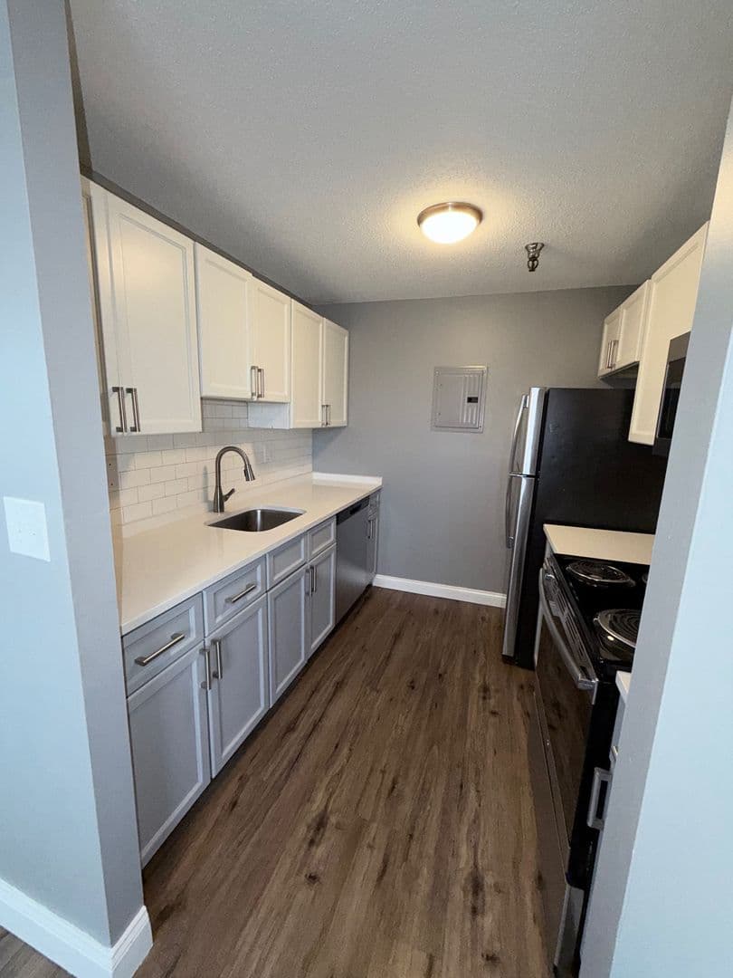 Springfield Apartment: 122 Chestnut Street