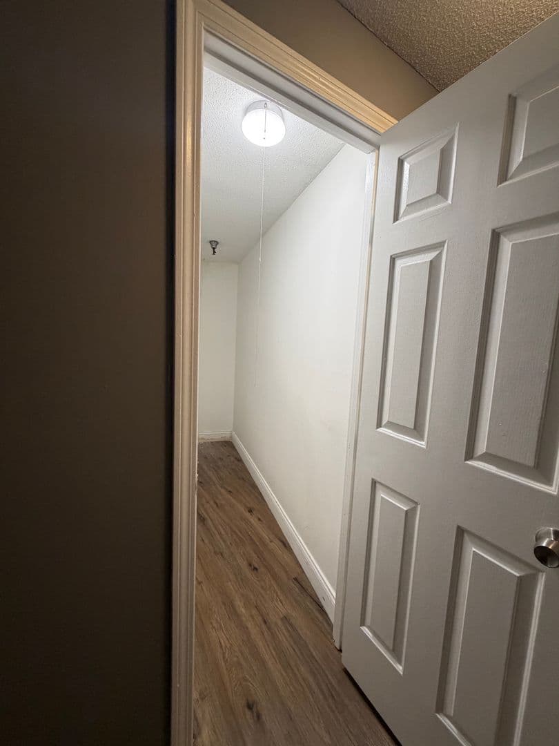 Springfield Apartment: 122 Chestnut Street