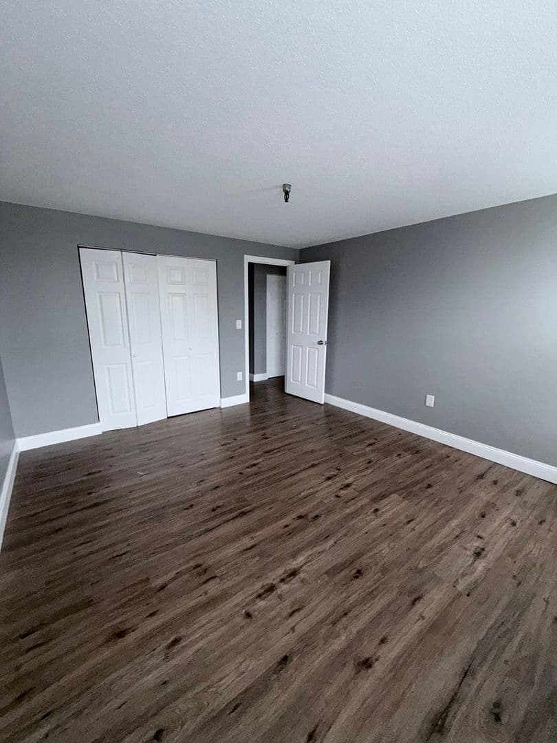 Springfield Apartment: 122 Chestnut Street